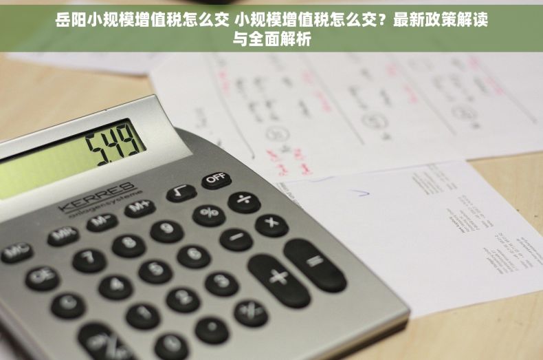 岳阳小规模增值税怎么交 小规模增值税怎么交？最新政策解读与全面解析