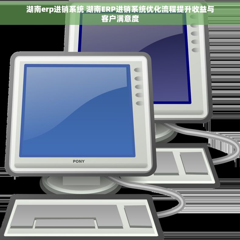 湖南erp进销系统 湖南ERP进销系统优化流程提升收益与客户满意度