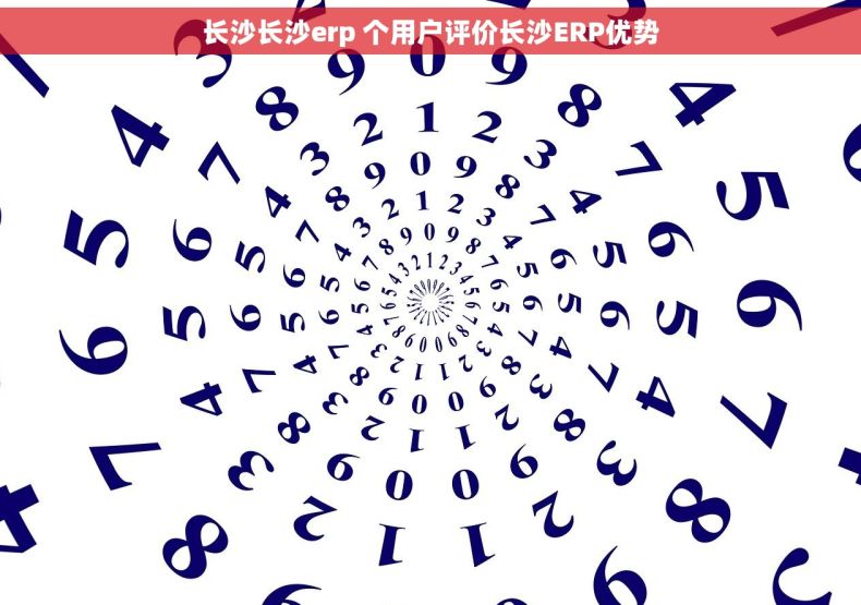 长沙长沙erp 个用户评价长沙ERP优势