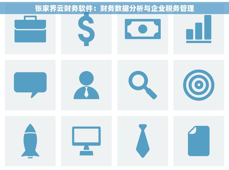 张家界云财务软件：财务数据分析与企业税务管理