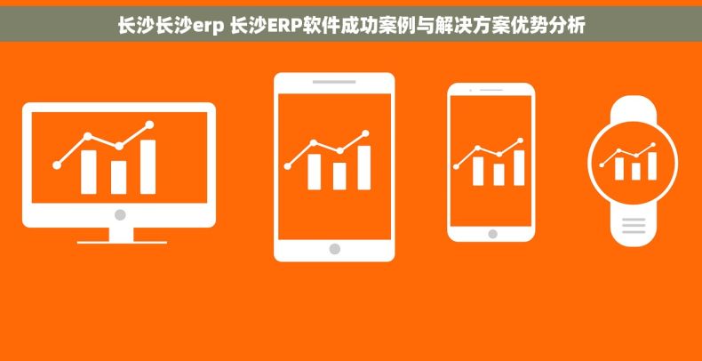 长沙长沙erp 长沙ERP软件成功案例与解决方案优势分析