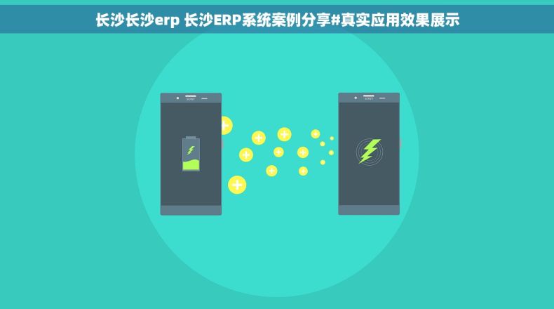 长沙长沙erp 长沙ERP系统案例分享#真实应用效果展示