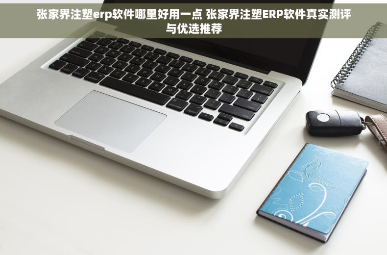张家界注塑erp软件哪里好用一点 张家界注塑ERP软件真实测评与优选推荐