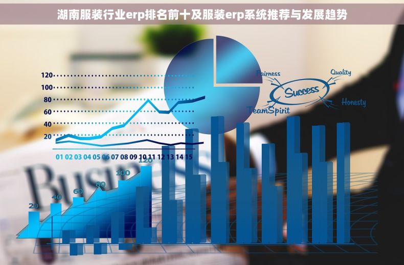 湖南服装行业erp排名前十及服装erp系统推荐与发展趋势
