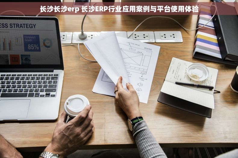 长沙长沙erp 长沙ERP行业应用案例与平台使用体验