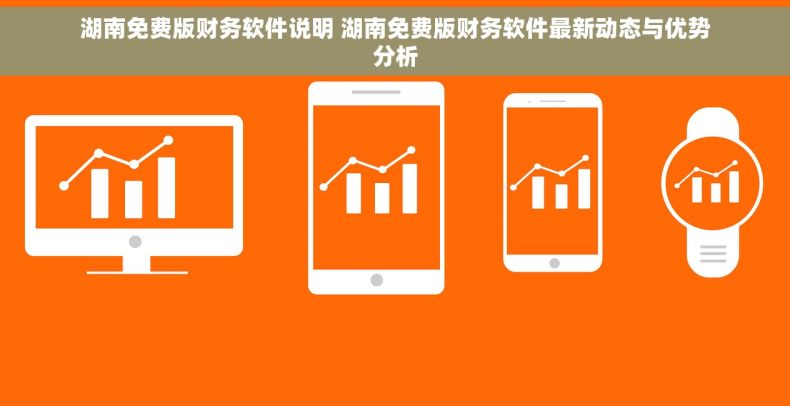 湖南免费版财务软件说明 湖南免费版财务软件最新动态与优势分析