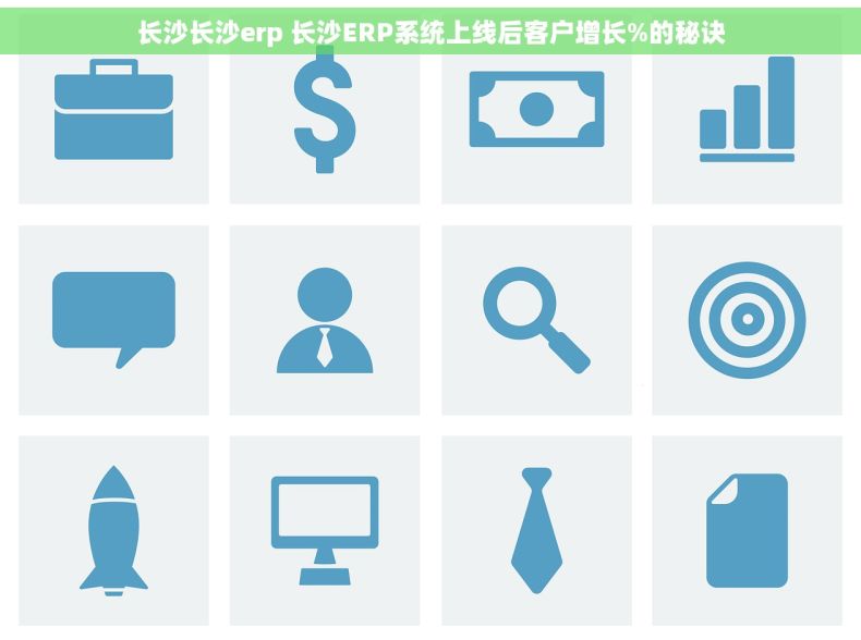 长沙长沙erp 长沙ERP系统上线后客户增长%的秘诀