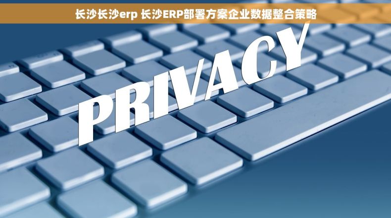 长沙长沙erp 长沙ERP部署方案企业数据整合策略