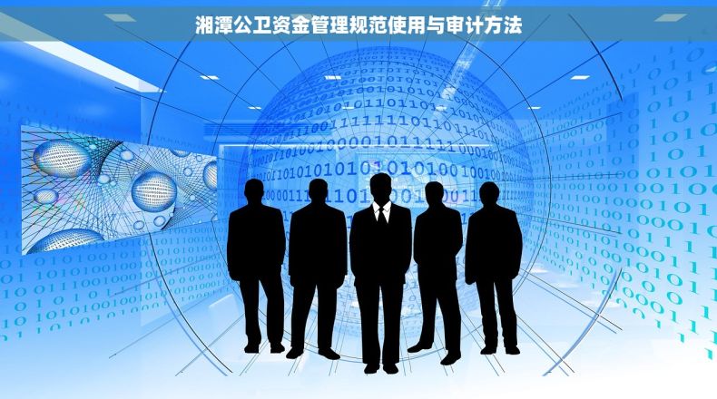 湘潭公卫资金管理规范使用与审计方法
