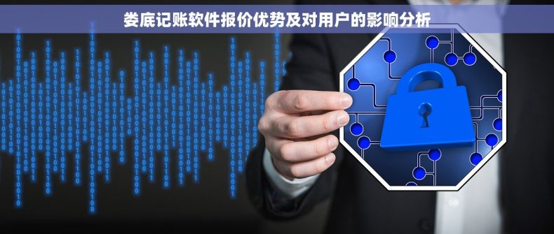 娄底记账软件报价优势及对用户的影响分析