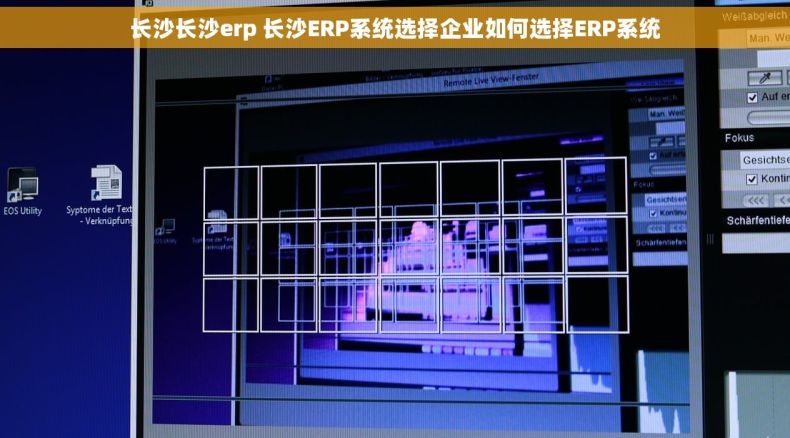 长沙长沙erp 长沙ERP系统选择企业如何选择ERP系统