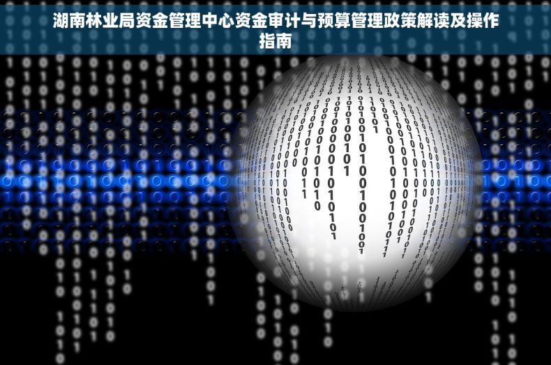 湖南林业局资金管理中心资金审计与预算管理政策解读及操作指南