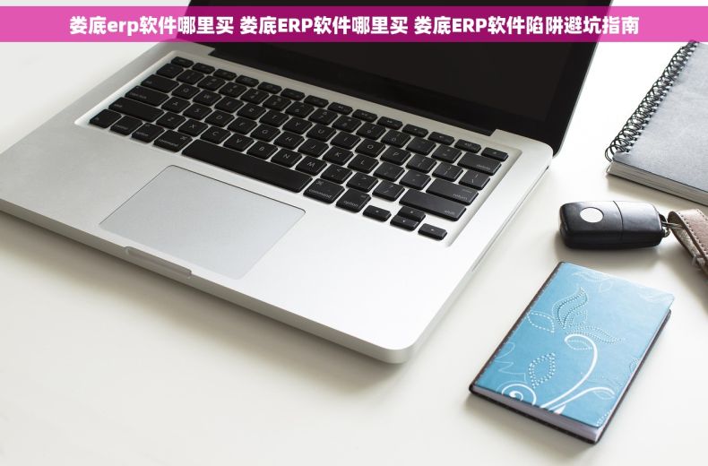 娄底erp软件哪里买 娄底ERP软件哪里买 娄底ERP软件陷阱避坑指南