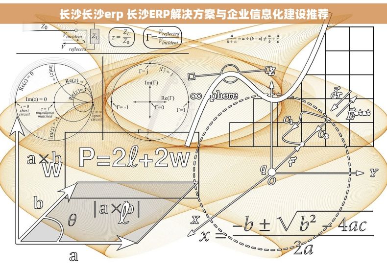 长沙长沙erp 长沙ERP解决方案与企业信息化建设推荐