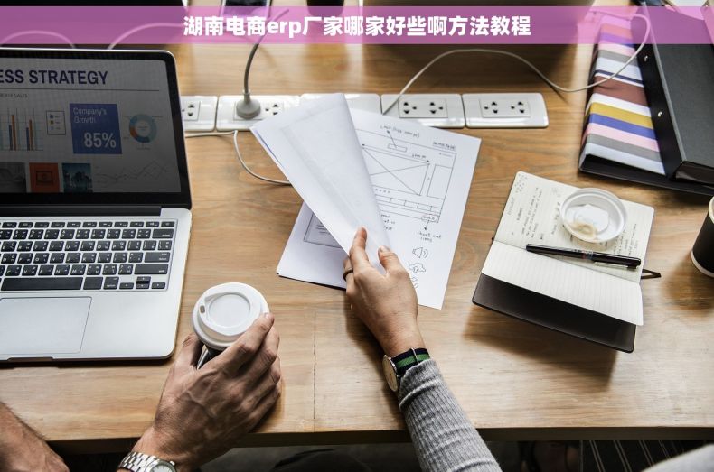 湖南电商erp厂家哪家好些啊方法教程