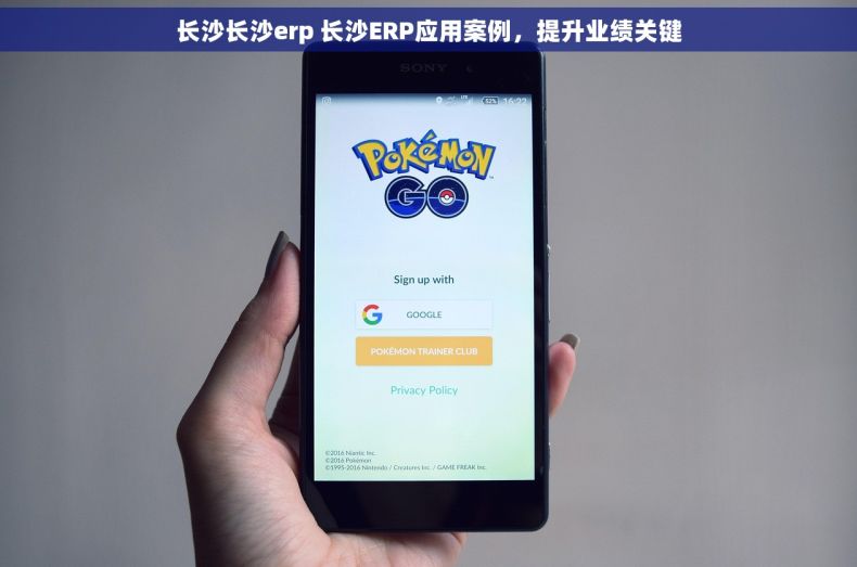 长沙长沙erp 长沙ERP应用案例，提升业绩关键