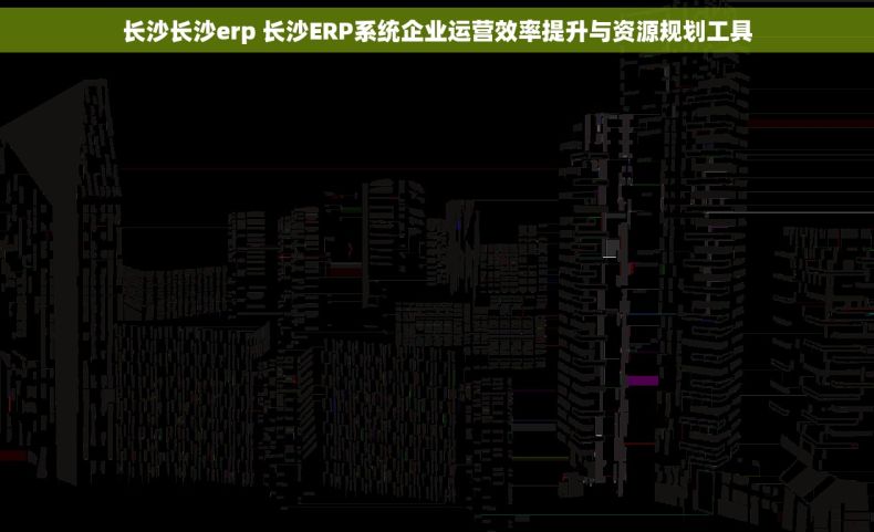 长沙长沙erp 长沙ERP系统企业运营效率提升与资源规划工具
