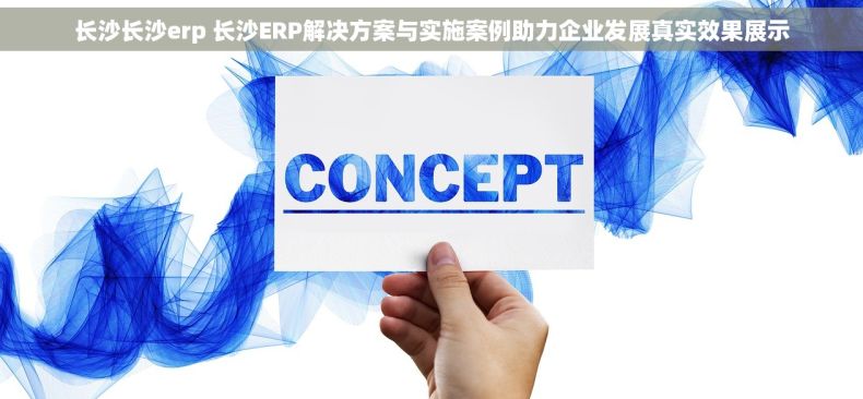 长沙长沙erp 长沙ERP解决方案与实施案例助力企业发展真实效果展示