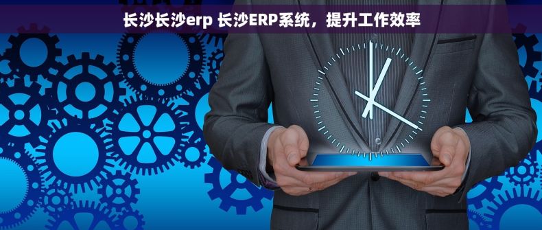 长沙长沙erp 长沙ERP系统，提升工作效率
