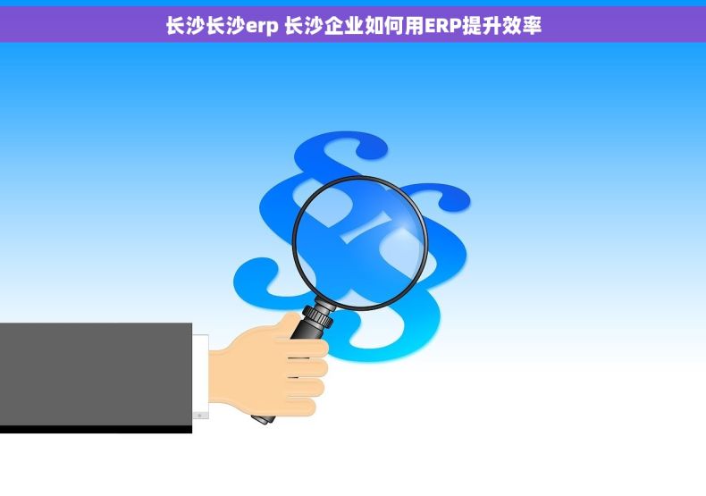 长沙长沙erp 长沙企业如何用ERP提升效率