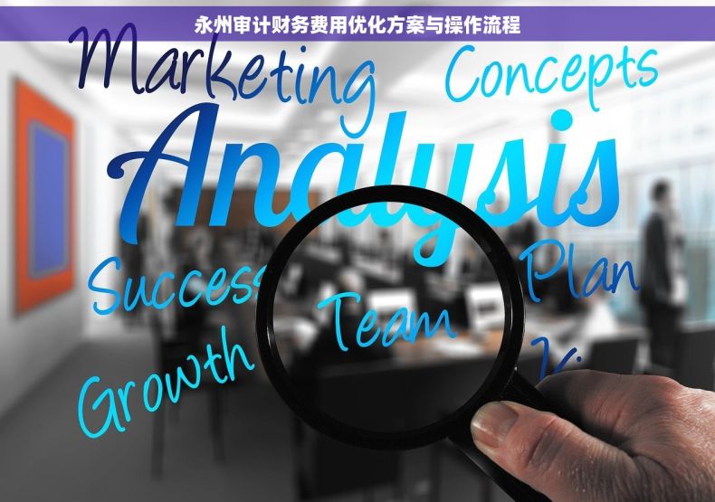 永州审计财务费用优化方案与操作流程