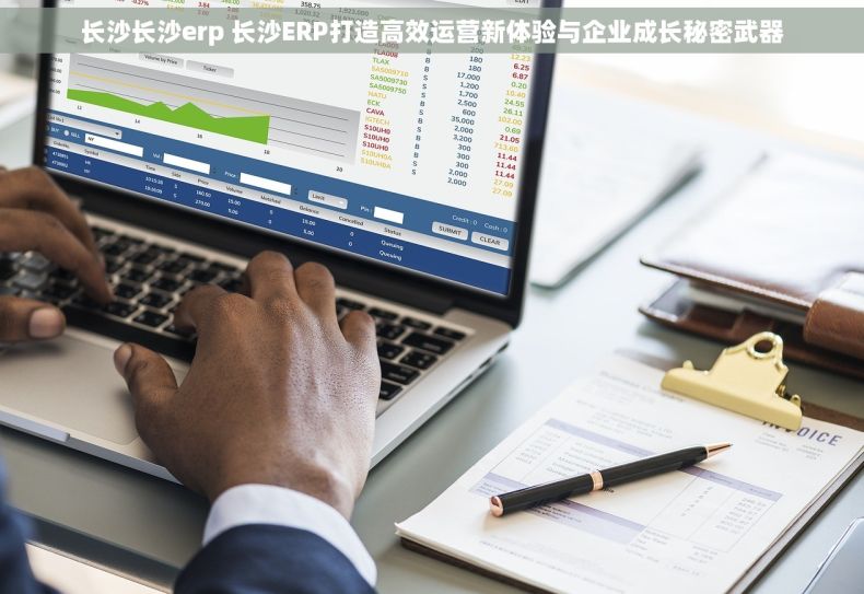 长沙长沙erp 长沙ERP打造高效运营新体验与企业成长秘密武器