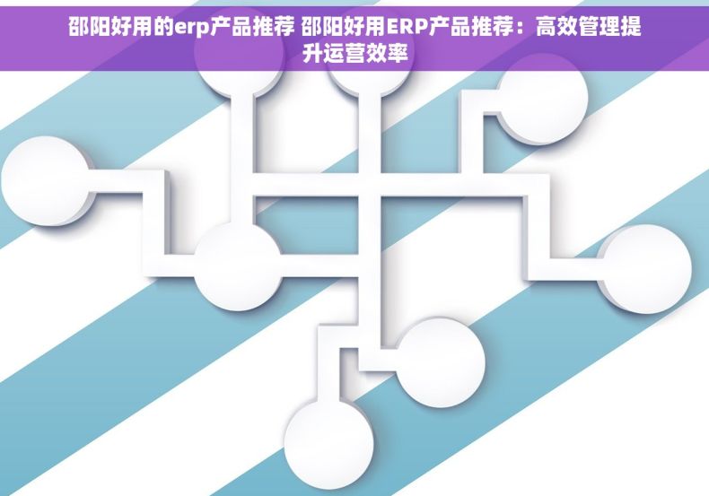 邵阳好用的erp产品推荐 邵阳好用ERP产品推荐：高效管理提升运营效率