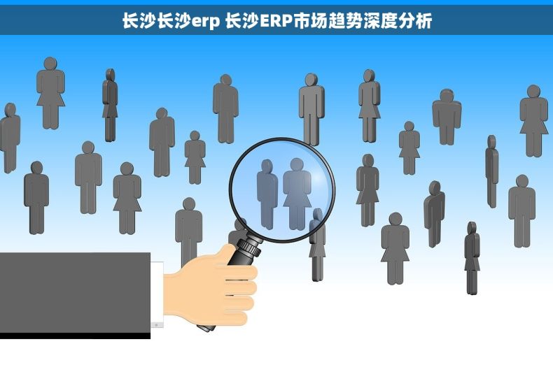 长沙长沙erp 长沙ERP市场趋势深度分析
