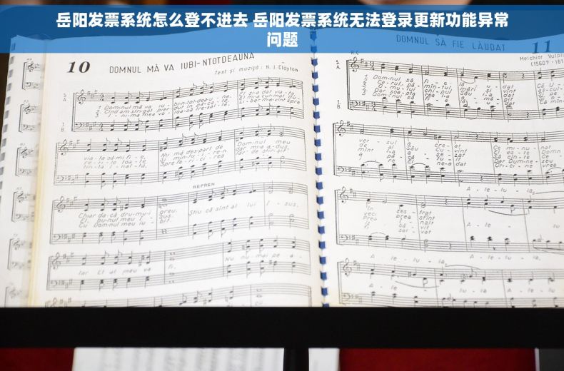 岳阳发票系统怎么登不进去 岳阳发票系统无法登录更新功能异常问题