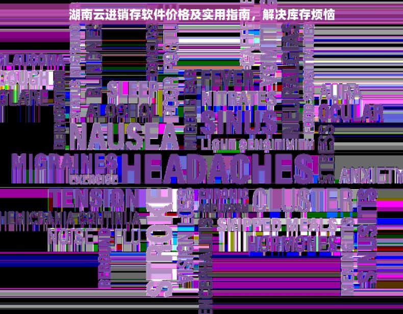 湖南云进销存软件价格及实用指南，解决库存烦恼