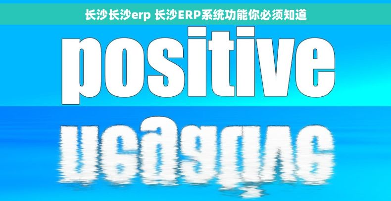 长沙长沙erp 长沙ERP系统功能你必须知道