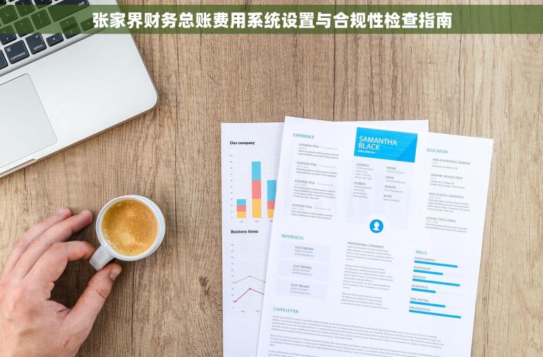 张家界财务总账费用系统设置与合规性检查指南