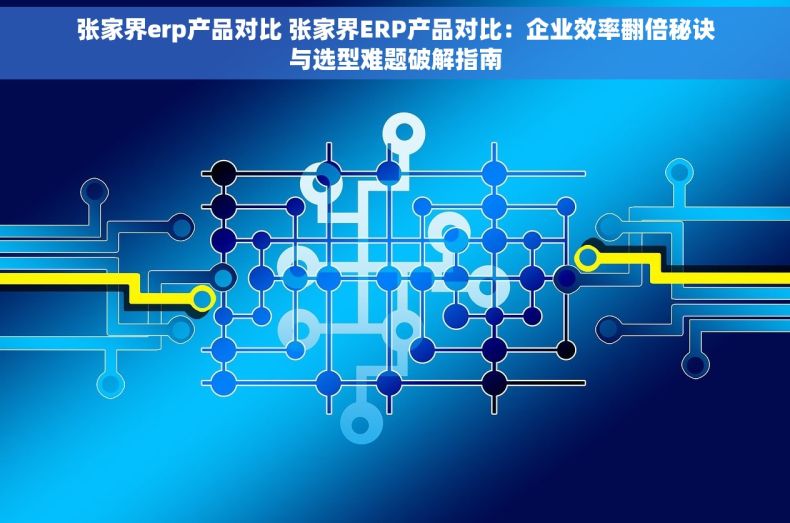 张家界erp产品对比 张家界ERP产品对比：企业效率翻倍秘诀与选型难题破解指南