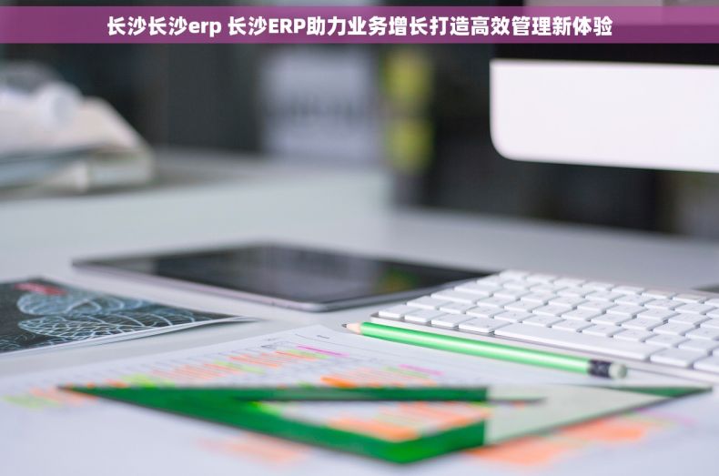 长沙长沙erp 长沙ERP助力业务增长打造高效管理新体验