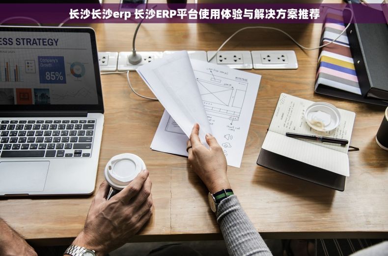 长沙长沙erp 长沙ERP平台使用体验与解决方案推荐