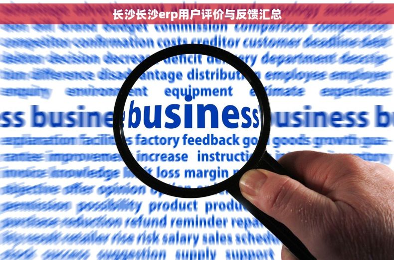 长沙长沙erp用户评价与反馈汇总