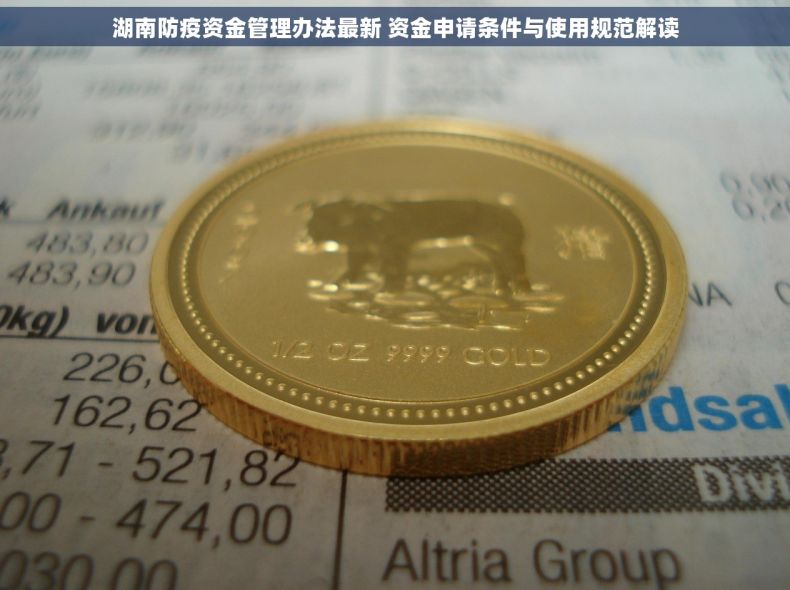 湖南防疫资金管理办法最新 资金申请条件与使用规范解读