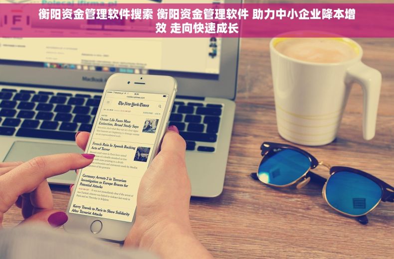衡阳资金管理软件搜索 衡阳资金管理软件 助力中小企业降本增效 走向快速成长