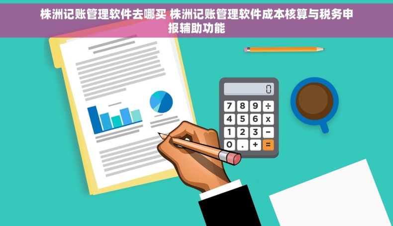 株洲记账管理软件去哪买 株洲记账管理软件成本核算与税务申报辅助功能