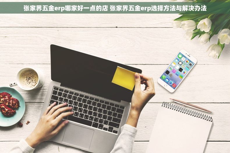 张家界五金erp哪家好一点的店 张家界五金erp选择方法与解决办法