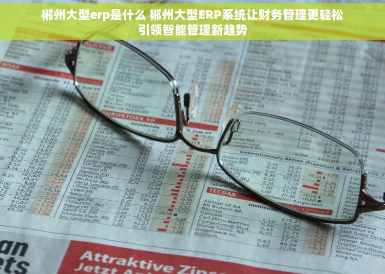 郴州大型erp是什么 郴州大型ERP系统让财务管理更轻松引领智能管理新趋势