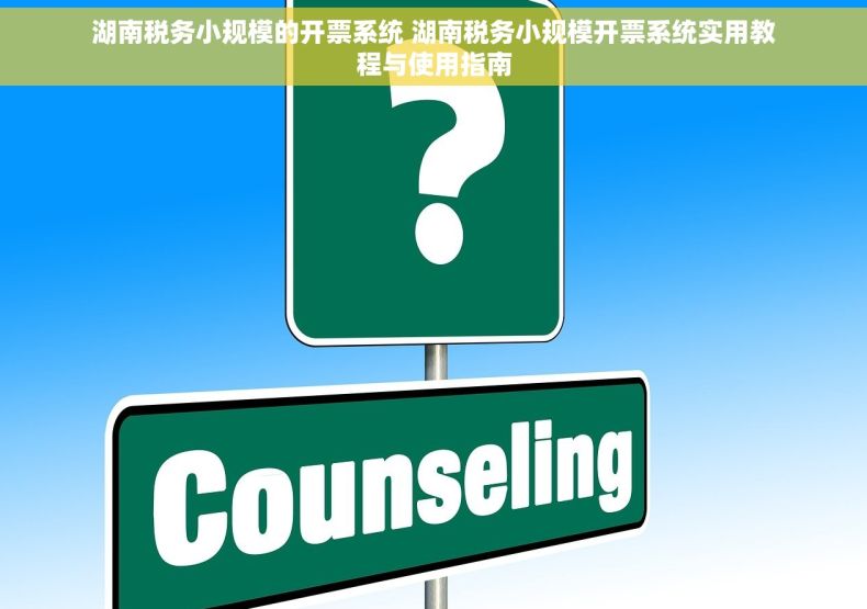 湖南税务小规模的开票系统 湖南税务小规模开票系统实用教程与使用指南