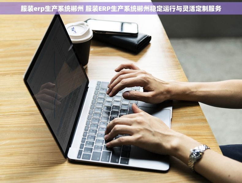 服装erp生产系统郴州 服装ERP生产系统郴州稳定运行与灵活定制服务