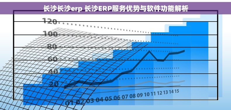 长沙长沙erp 长沙ERP服务优势与软件功能解析