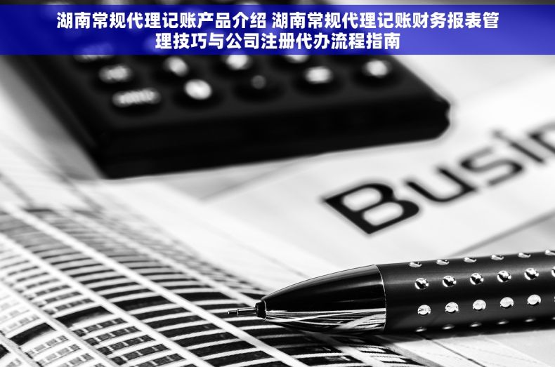 湖南常规代理记账产品介绍 湖南常规代理记账财务报表管理技巧与公司注册代办流程指南