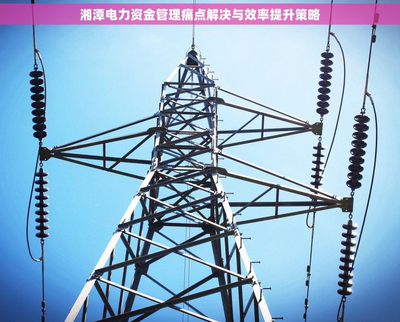 湘潭电力资金管理痛点解决与效率提升策略