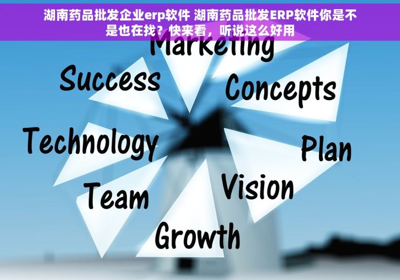 湖南药品批发企业erp软件 湖南药品批发ERP软件你是不是也在找？快来看，听说这么好用