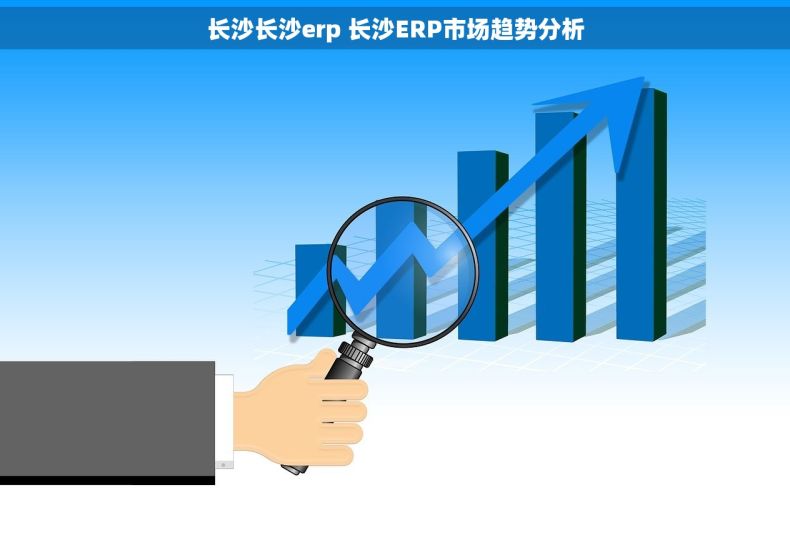 长沙长沙erp 长沙ERP市场趋势分析