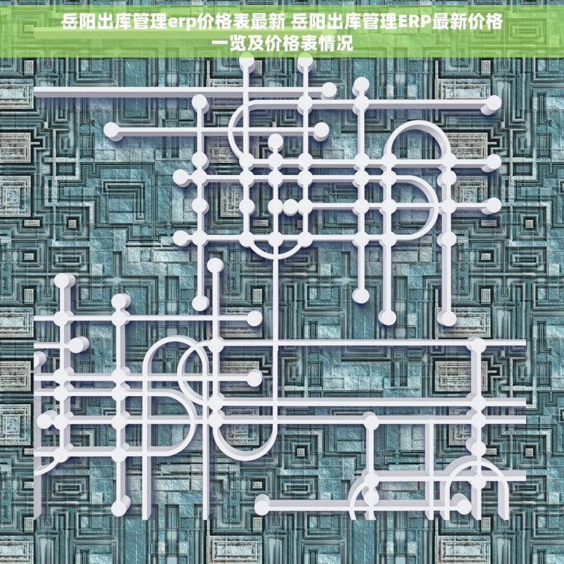 岳阳出库管理erp价格表最新 岳阳出库管理ERP最新价格一览及价格表情况