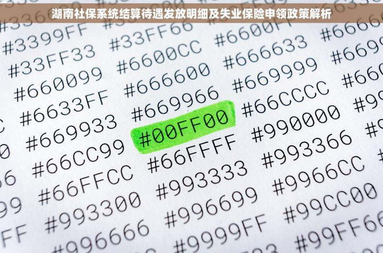 湖南社保系统结算待遇发放明细及失业保险申领政策解析